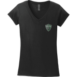 Lansing Spartans Softstyle Ladies Fit V-Neck T-Shirt