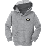 Upland Soccer Toddler Core Fleece Pullover Hooded Sweatshirt