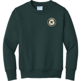 CT ECHO Stars Youth Core Fleece Crewneck Sweatshirt