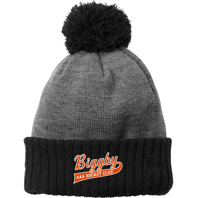 Biggby Coffee AAA New Era Colorblock Cuffed Beanie